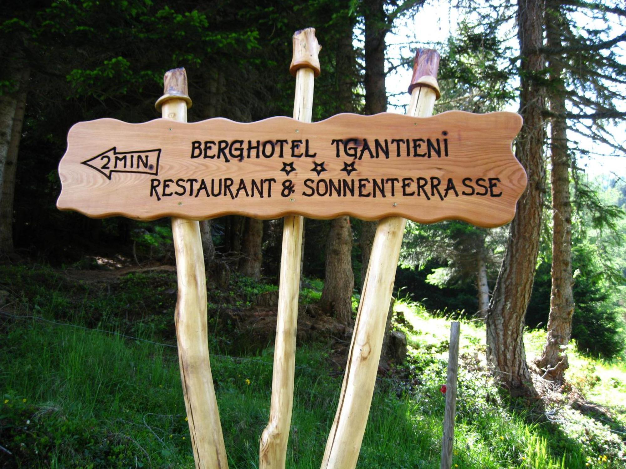 Berghotel Tgantieni لينتسرهايدي المظهر الخارجي الصورة